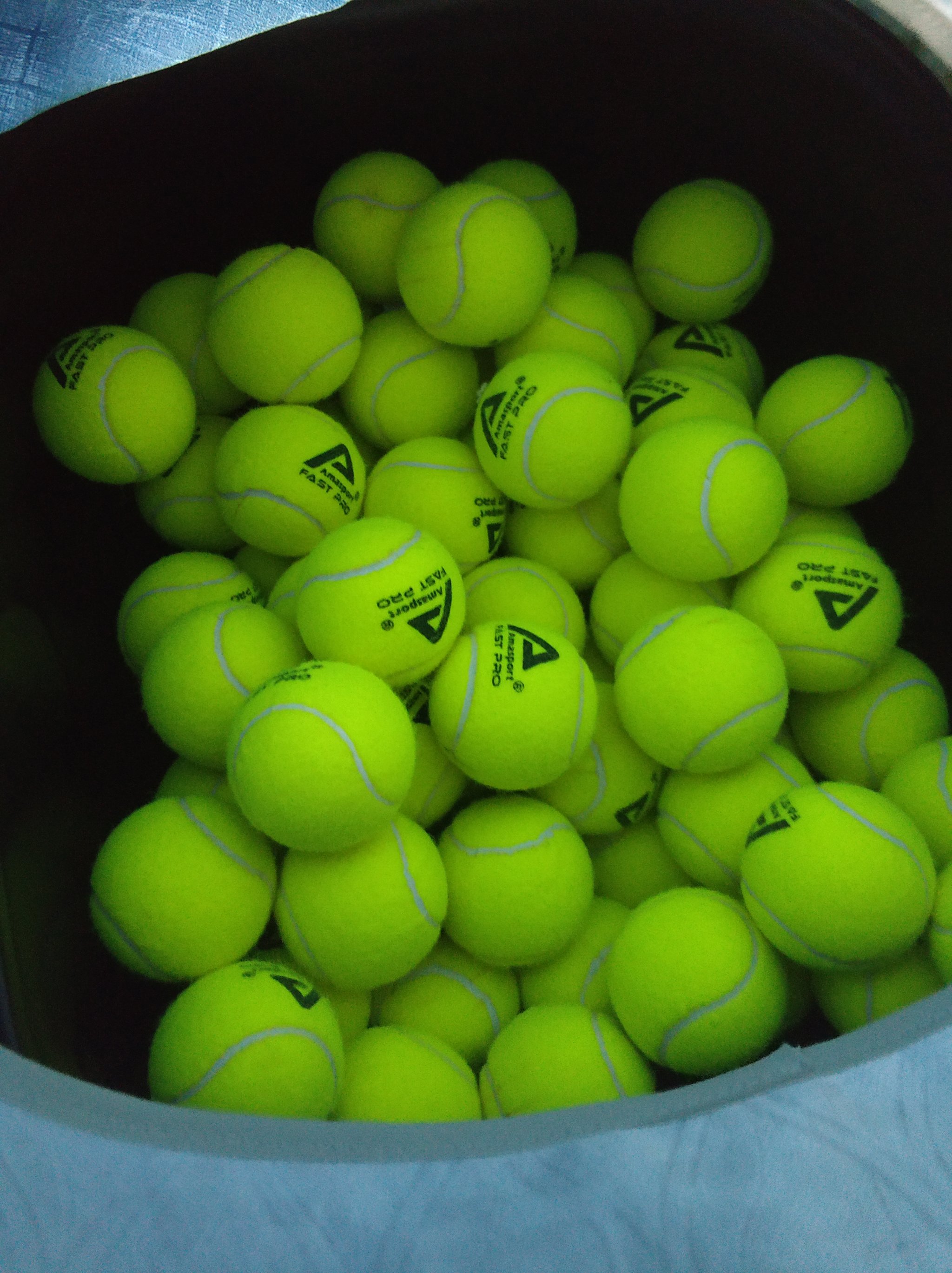 显示了整体 显示了整体